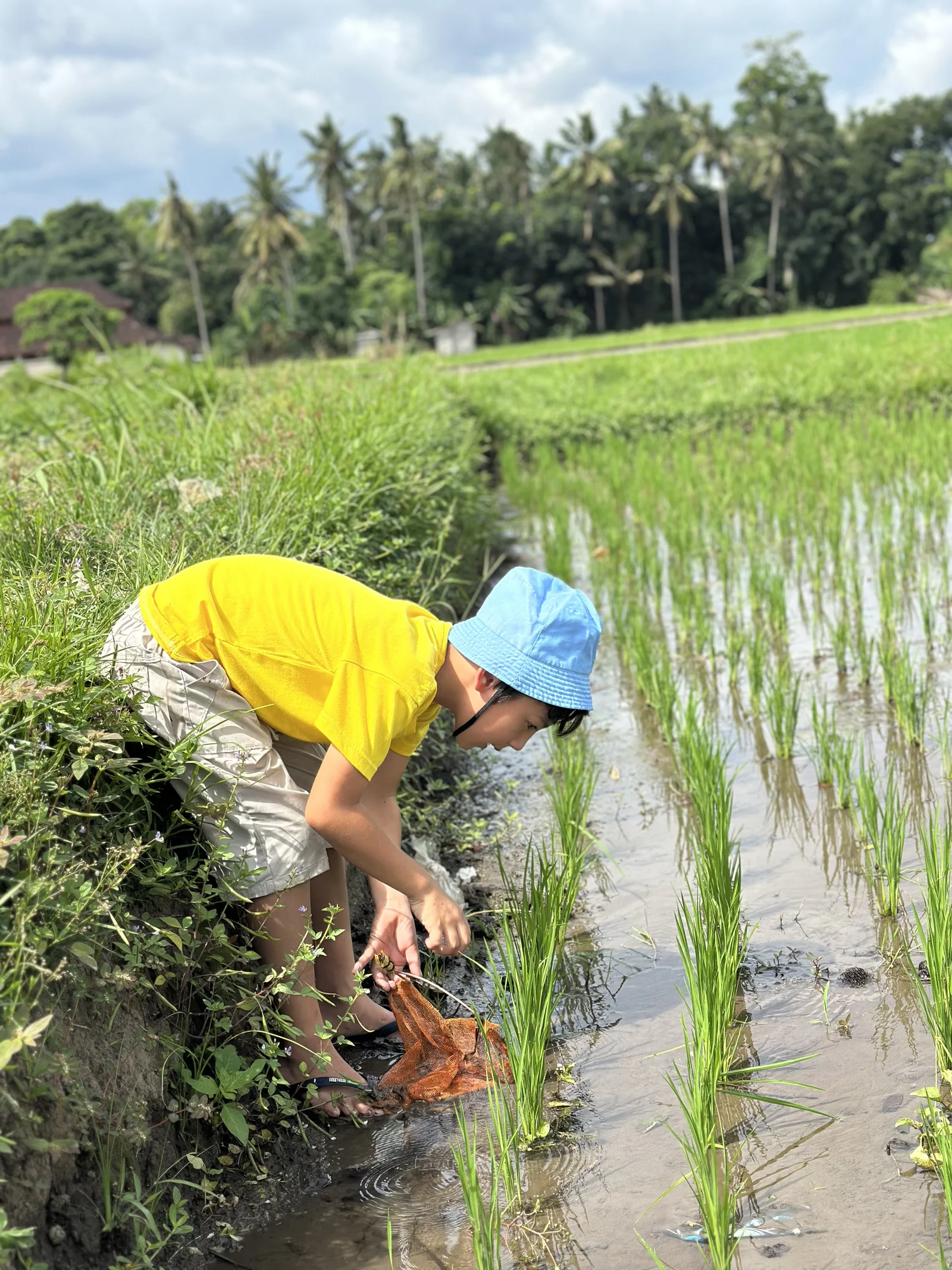 Sunny Kids Moment 46